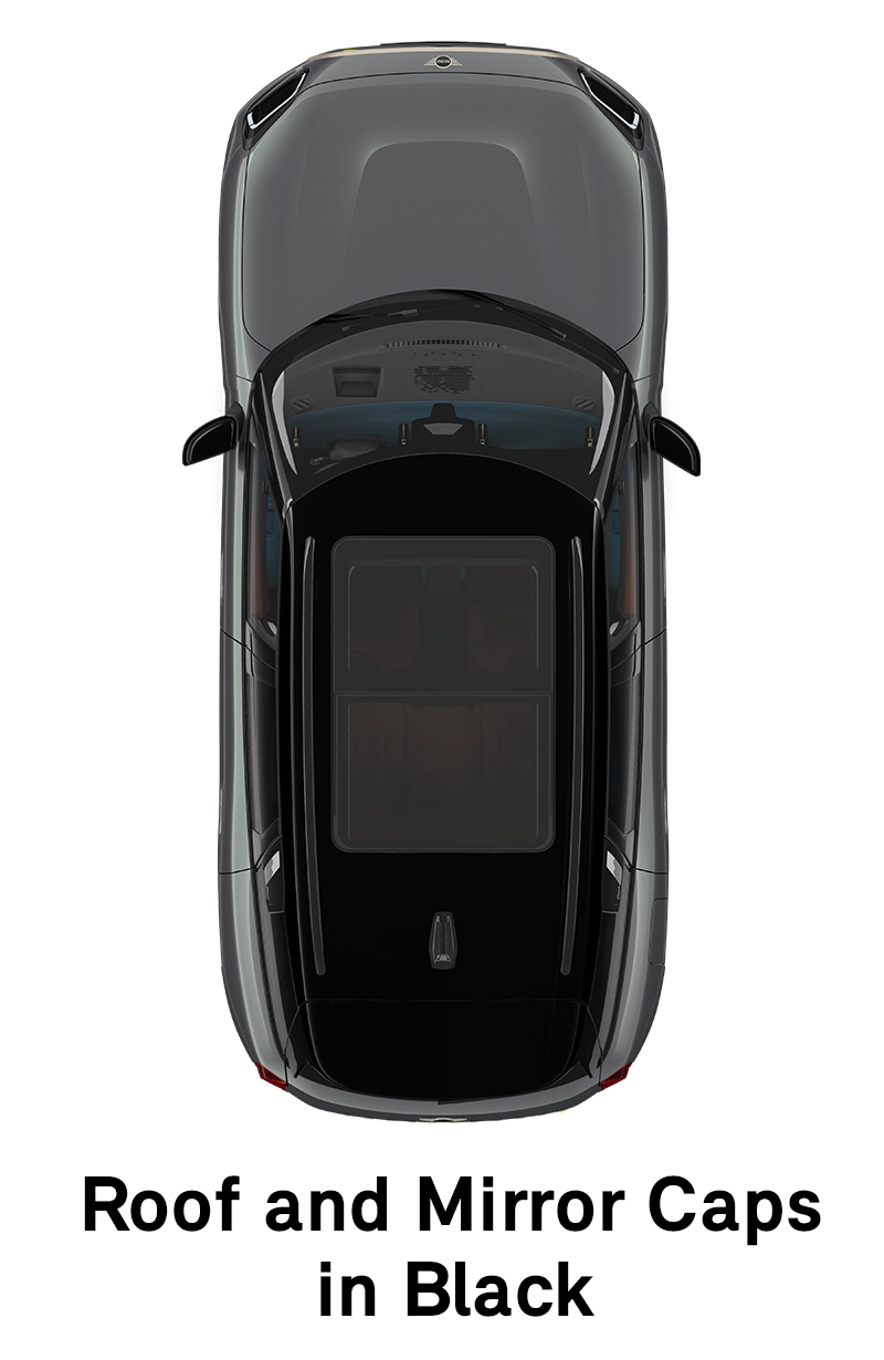  MINI - equipaggiamento - tetto versione favoured nero