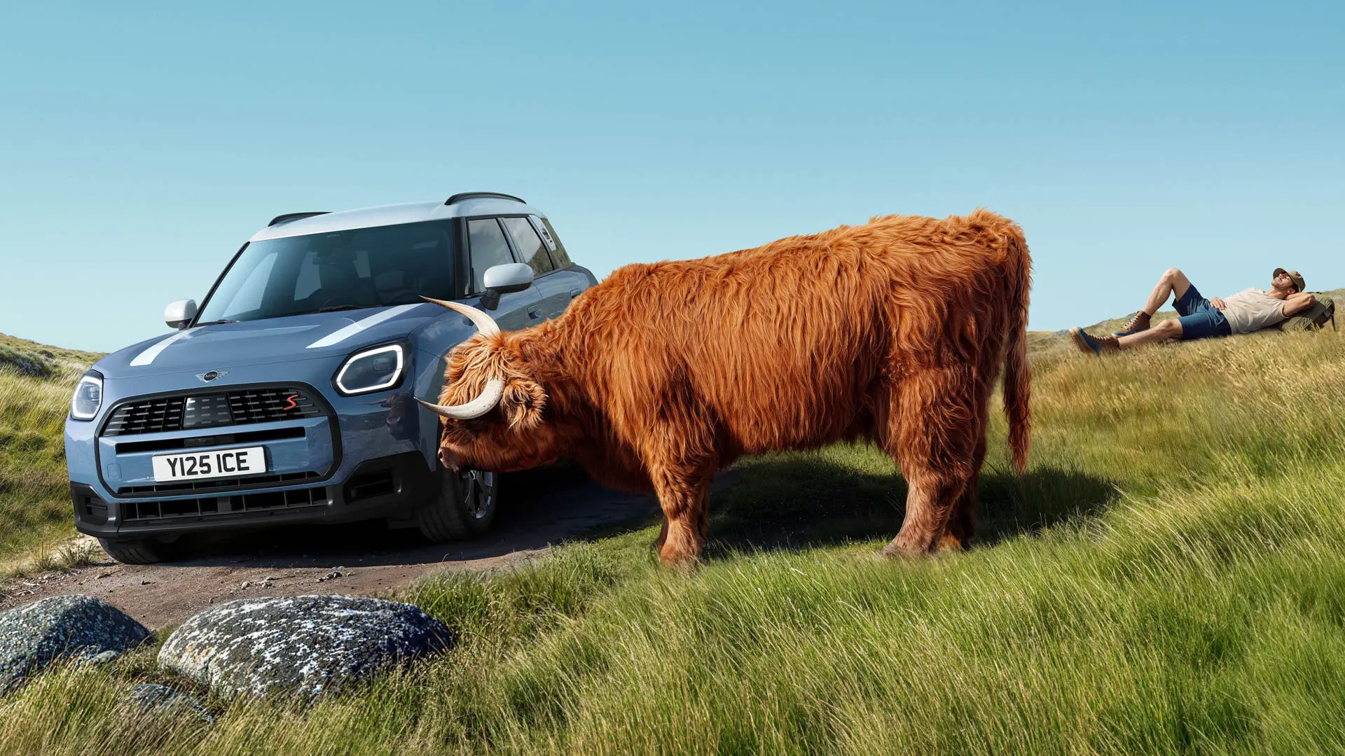 Una MINI Countryman che passa accanto a una mucca che pascola pacificamente. Con ProActive Care pensiamo noi alle preoccupazioni, tu devi solo guidare.