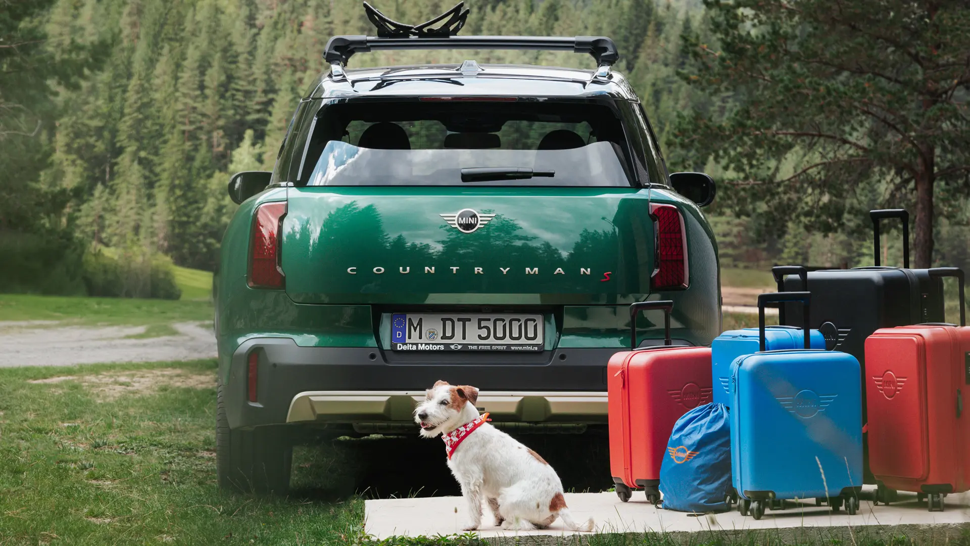 MINI Countryman in verde con diversi articoli per bagagliaio disponibili dal MINI Lifestyle Store dietro la vettura insieme a un cane Jack Russell. 