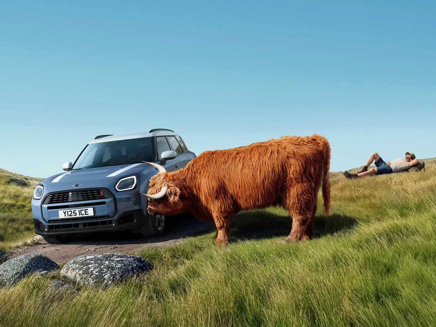 MINI Service con Proactive Care – Un uomo che si rilassa su una collina vicino alla propria MINI Countryman S ALL4, in compagnia di un toro delle Highlands.