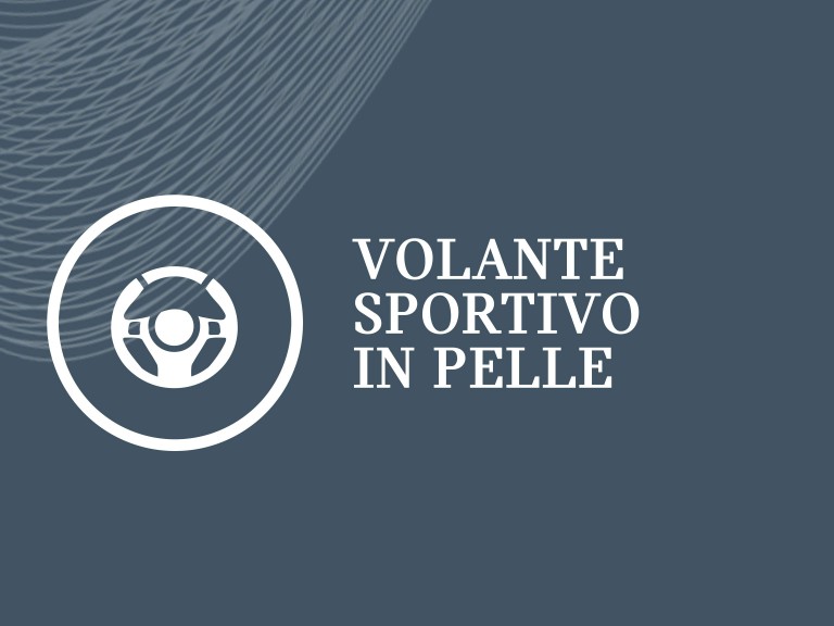 VOLANTE SPORTIVO IN PELLE.